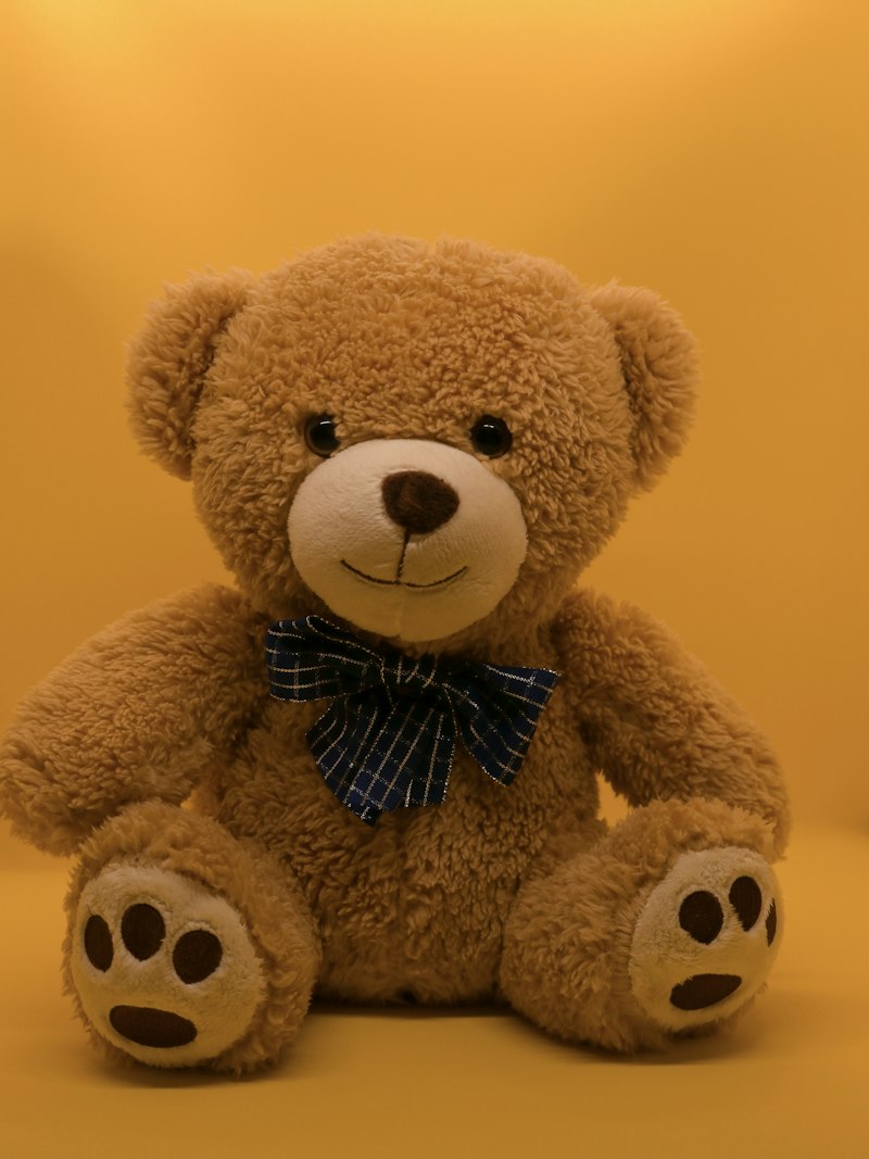 Brown teddy bear with a bow tie